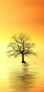 Solitary tree reflected in vibrant orange sunset on calm waters.