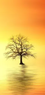 Lone tree reflected in orange sunset over calm water.