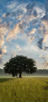 A serene lone tree under a dramatic cloudy sky in a lush green meadow.