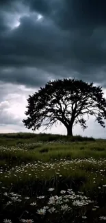 Lone tree under dark, cloudy sky amid flowers.