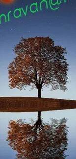 Solitary tree with reflection under a starlit night sky.