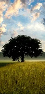 Lone tree standing under a colorful sky with grass in the foreground.