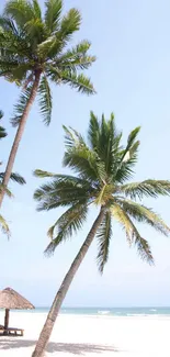 Palm trees and huts on a tranquil beach with light blue skies.