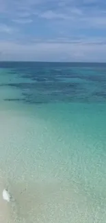 Tropical beach with turquoise water and sandy shore.