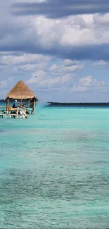 Serene tropical ocean view with hut and turquoise waters.