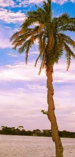 Lone palm tree by a tranquil waterscape.