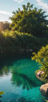 Lush tropical oasis with turquoise waters and sunlight.