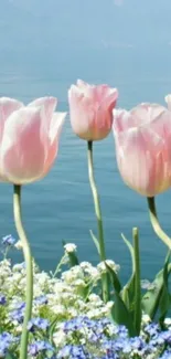 Pink tulips by a serene lake with mountains in the background, perfect for nature lovers.