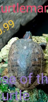 Turtle resting peacefully on a moss-covered rock