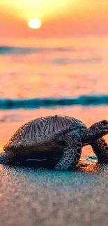 Turtle on beach at sunset, vibrant colors.