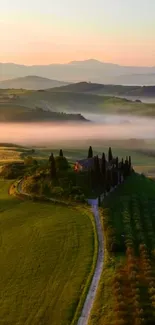 A serene landscape with green hills and misty Tuscan sunrise.