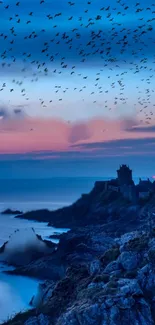 Twilight coastal scene with rocks and birds under a vibrant sky.