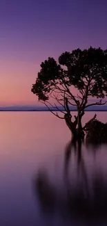 A solitary tree reflected in a serene, purple lake at twilight.