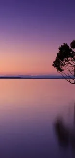 Serene twilight landscape with a tree silhouette on a mobile wallpaper.