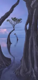 Mangrove trees under a purple twilight sky, reflecting in calm waters.