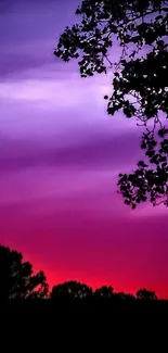 Purple twilight sky with silhouetted trees.