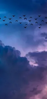 Flock of birds fly across twilight sky with clouds.