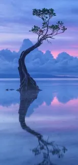 Lone tree reflecting in calm sea during a vibrant purple sunset.