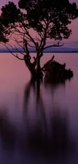 Purple twilight tree silhouette with water reflection.