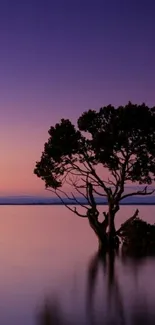 Solitary tree in twilight with purple sky and water reflection.