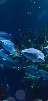 Serene underwater view with fish swimming in an aquarium, showcasing vibrant colors.