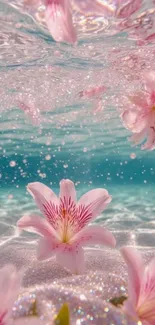 Underwater view of pink flowers floating serenely.