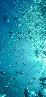 Serene underwater scene with blue bubbles.