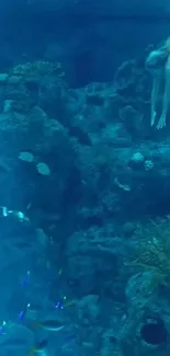 Diver exploring vibrant coral reefs underwater with marine life.