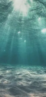 Underwater ocean view with sun rays and sand