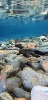 Serene underwater scene with pebbles and clear blue water.