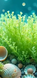 Underwater scene with green seaweed and seashells for mobile wallpaper.