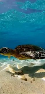 A serene underwater scene with a turtle swimming gracefully.