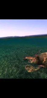 Underwater wallpaper with a turtle swimming through ocean grass.