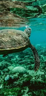 Underwater scene with a gliding turtle and vibrant marine life.