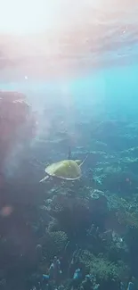 A turtle swims underwater amidst coral reefs with a teal hue.