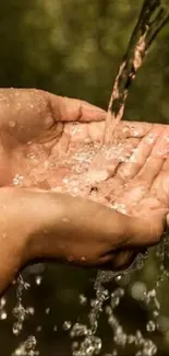 Hands catching flowing spring water against a lush green background.