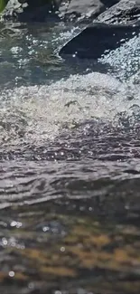 Calm flowing water with gentle ripples on a serene natural backdrop.