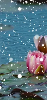 Serene mobile wallpaper featuring pink water lily on a blue pond with snow.