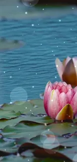 Serene water lily pond with sparkling lights.