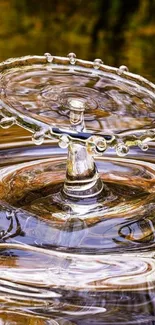 Close-up of a water ripple in nature with brown reflective hues.