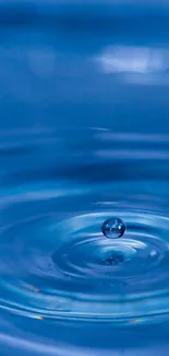 Serene blue water ripple with droplet creating waves.