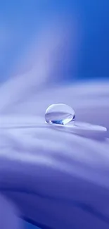 Close-up of a waterdrop on a purple petal, creating a serene and calming effect.