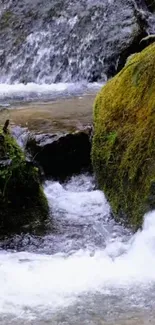 A serene waterfall cascading over mossy rocks in nature.