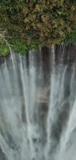 Aerial view of a serene waterfall surrounded by lush green forest.