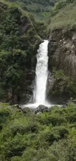 Serene waterfall amidst lush green landscape, perfect for nature lovers.