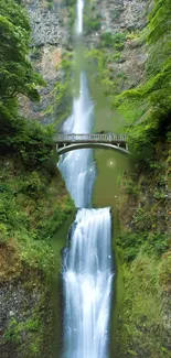 Serene waterfall flowing under a bridge surrounded by lush greenery.