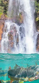 Waterfall cascading into turquoise pool with fish swimming.