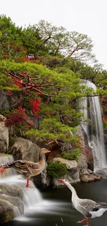 Tranquil waterfall scene with geese and lush greenery.