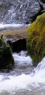 Waterfall cascading over mossy rocks in a tranquil forest setting.