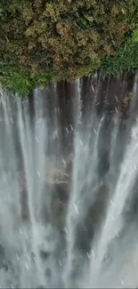 Vibrant waterfall cascading amid lush greenery.